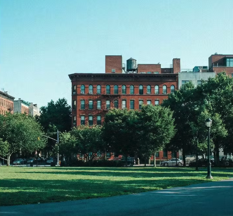 Reggie's Color Negative